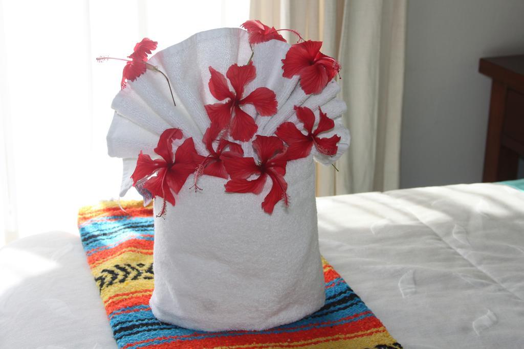 Bed and breakfast Casa Camelia Playa del Carmen