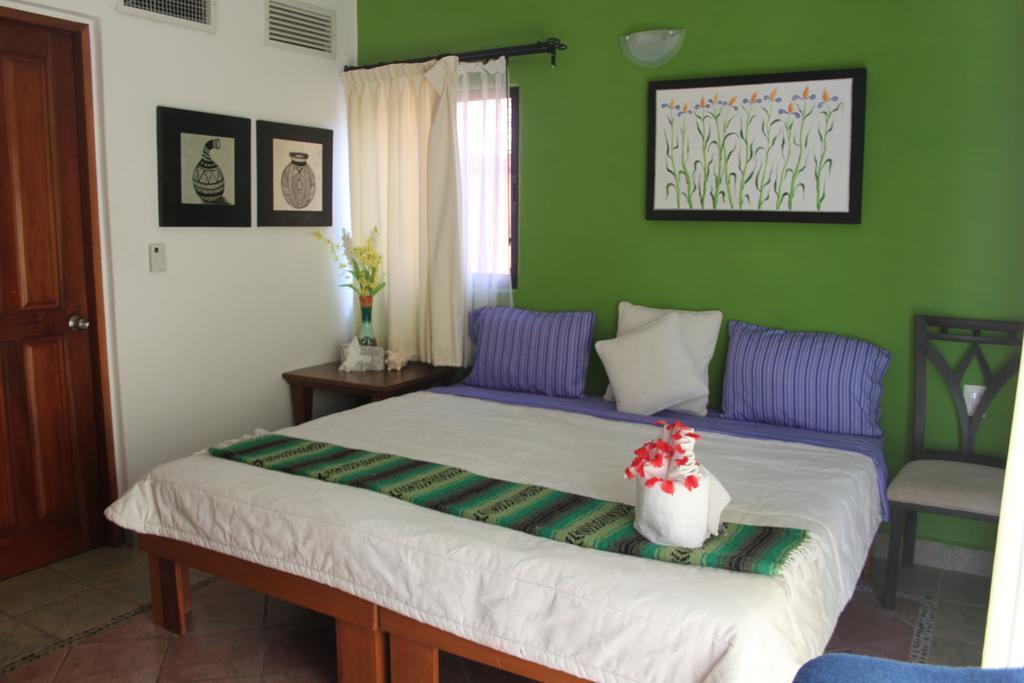 Bed and breakfast Casa Camelia Playa del Carmen