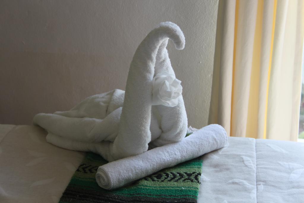 Casa Camelia 2*